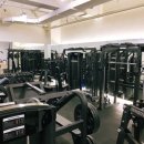 원더바디핏 이미지