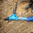 남악1로 이미지