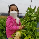 무랑농장 Daum카페