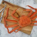 박달수산 이미지