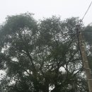 진보면사무소 이미지