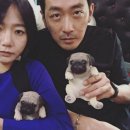 탱이푸드