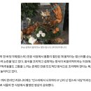 몸부림치는 절단 랍스터, 왕관 씌워 손님상에…&#34;잔인하다&#34; 말나온 이유 이미지