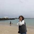 경안카센타 | 제주도 겨울여행 우도, 우도바람사용후기, 우도올레길, 우도2월날씨, 우도여행, 제주여행, 우도카페추천