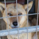 황구농장 이미지