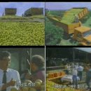 따봉농장 이미지