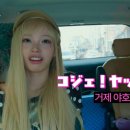 야호이