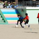 금정초등학교 - 영암군 | 금정초등학교