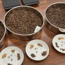 바리스타 자격증 취득하기 이미지