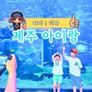 지에스25 제주섭지코지점 | 제주 아이랑 즐기는 비올때 제주 실내 여행지, 제주 아쿠아플라넷 리뉴얼 후기 오션아레나 시간