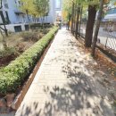 한빛공인중개사사무소 이미지