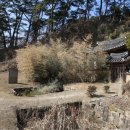 홍우정 네이버블로그