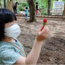 월드비전 춘천어린이집 이미지