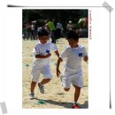 남양주양지초등학교 이미지