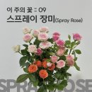 평내로167 이미지