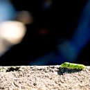 신암마을 이미지