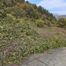 남해-306 이미지