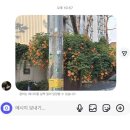 유월 한 달 속에서도 자주 듣는 노래가 몇 번이고 변하는데
