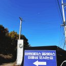 감내길 | 서울근교 일산 캠핑장 아르테미스 애견동반에 주차, 야외바베큐장까지 무료