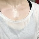 피노키오복싱 이미지