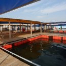 태극호좌대 이미지