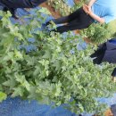 형제슈퍼 이미지