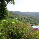 (주)금왕산업개발 - 253 | (주)금왕산업개발