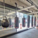 복싱 | 박스페이스 강남복싱 후기 🥊