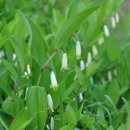 뽑고가요 이미지