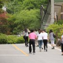 소백산산마루식당 이미지
