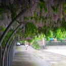 금파초교 이미지