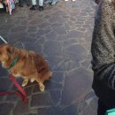 플로리안(3) 이미지