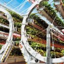 조성호농장 이미지