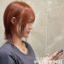 오렌지빈티지 | [빈티지오렌지]2025가을 염색 고민이라고? 가을 무드 완성, 웜톤 찰떡 컬러 빈티지오렌지