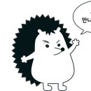 붐미디어 이미지