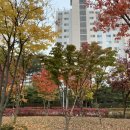 도라놀이터