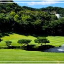 스타CC(회원제) 이미지