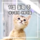 미니펫 강아지분양 고양이분양 성수점 네이버블로그
