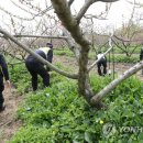 남산치안센터 이미지