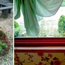 블루비치민박 이미지