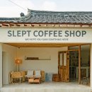 슬랩트slept | 경주의 경주스러운 분위기 좋은 카페 슬랩트 커피 후기(주차,벚꽃,팁, 인근카페 추천)