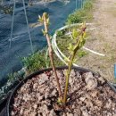 산여울농장 이미지