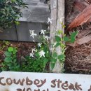 신화하우스 | 제주신화월드맛집 카우보이스테이크하우스, 가족과 즐긴 스테이크 후기