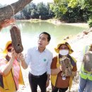 자연의 둥지 이미지