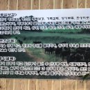 대장금흑염소
