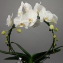 행운미용실 이미지