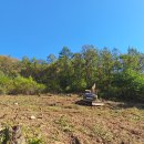 강남대로85길 5 (1) 이미지