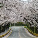 달맞이길 이미지