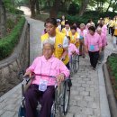 연송 이미지