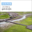 제**차 주말도보: 짱뚱어다리,한반도 해송숲 보물섬 증도 도보여행 (일정조정중) 이미지